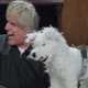 Illustration for article titled Honorable Judge Gary Busey to preside over pet-related court cases in iPet Judge/i